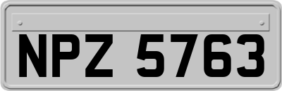 NPZ5763