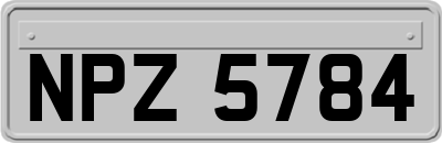 NPZ5784