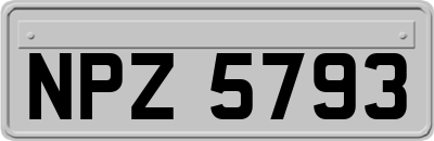 NPZ5793