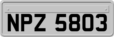 NPZ5803