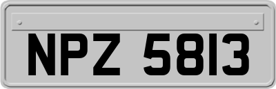 NPZ5813