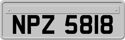 NPZ5818