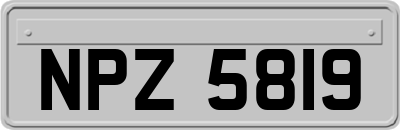 NPZ5819
