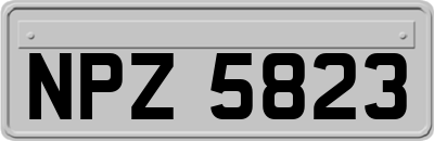 NPZ5823