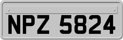 NPZ5824