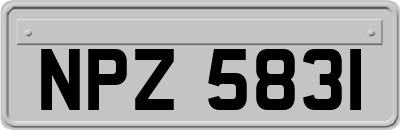 NPZ5831