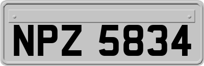 NPZ5834