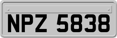 NPZ5838
