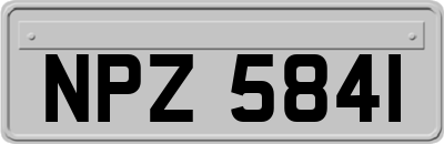 NPZ5841