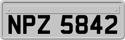 NPZ5842