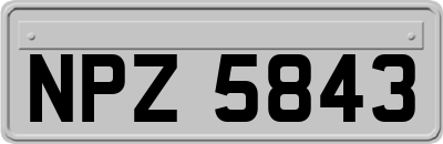 NPZ5843