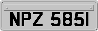 NPZ5851
