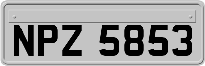 NPZ5853