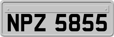 NPZ5855