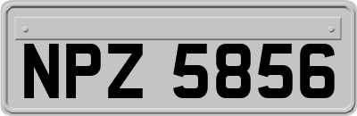 NPZ5856