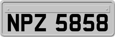 NPZ5858