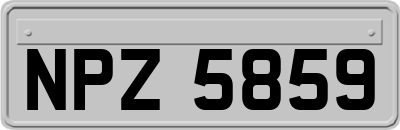 NPZ5859