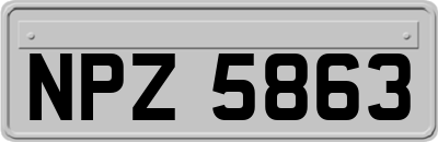 NPZ5863