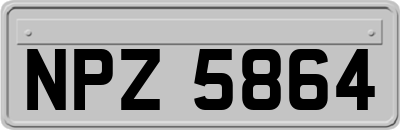 NPZ5864