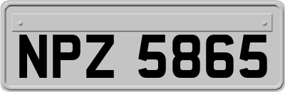 NPZ5865