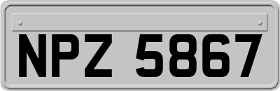 NPZ5867