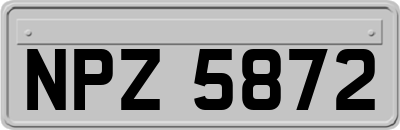 NPZ5872