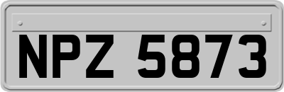 NPZ5873