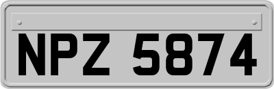 NPZ5874