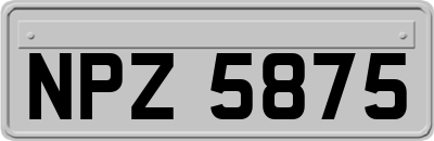 NPZ5875