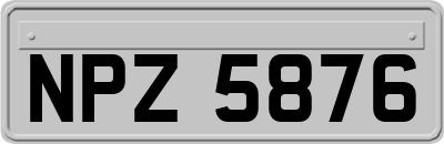 NPZ5876