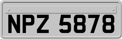NPZ5878