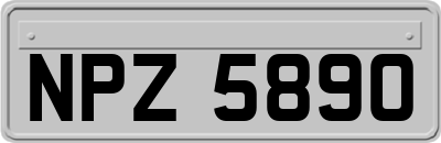 NPZ5890