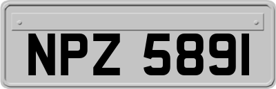 NPZ5891