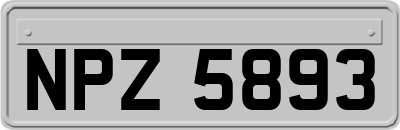 NPZ5893