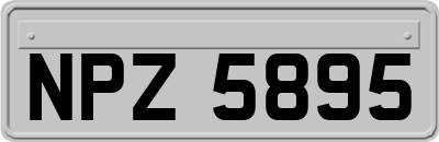 NPZ5895