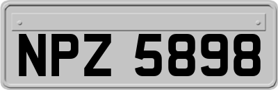 NPZ5898