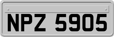 NPZ5905