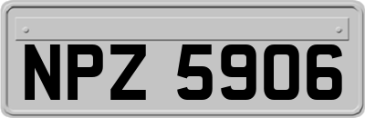 NPZ5906