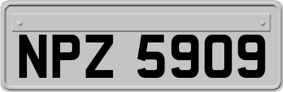 NPZ5909