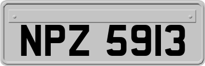 NPZ5913