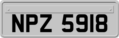 NPZ5918