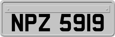 NPZ5919