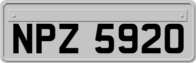 NPZ5920