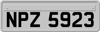NPZ5923