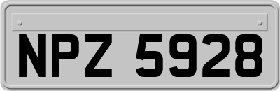 NPZ5928