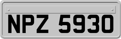 NPZ5930