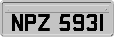 NPZ5931
