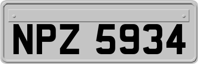 NPZ5934