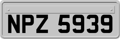NPZ5939