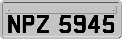 NPZ5945